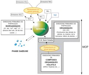 Représentation des voies d’incorporation des différents constituants des aérosols troposphériques